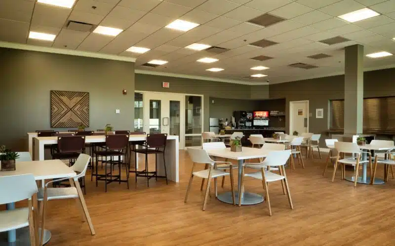 Silver Maple Recovery - Preview